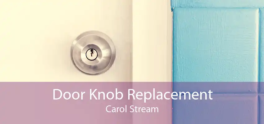 Door Knob Replacement Carol Stream