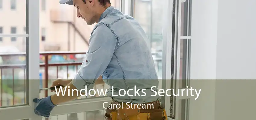 Window Locks Security Carol Stream